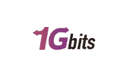 1GBits Coupon August 2025