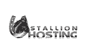 StallionHosting Coupon Code